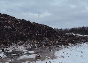 Мусорный полигон «Реал – Кстово» в Кстовском районе прикрыли на 45&nbsp;дней