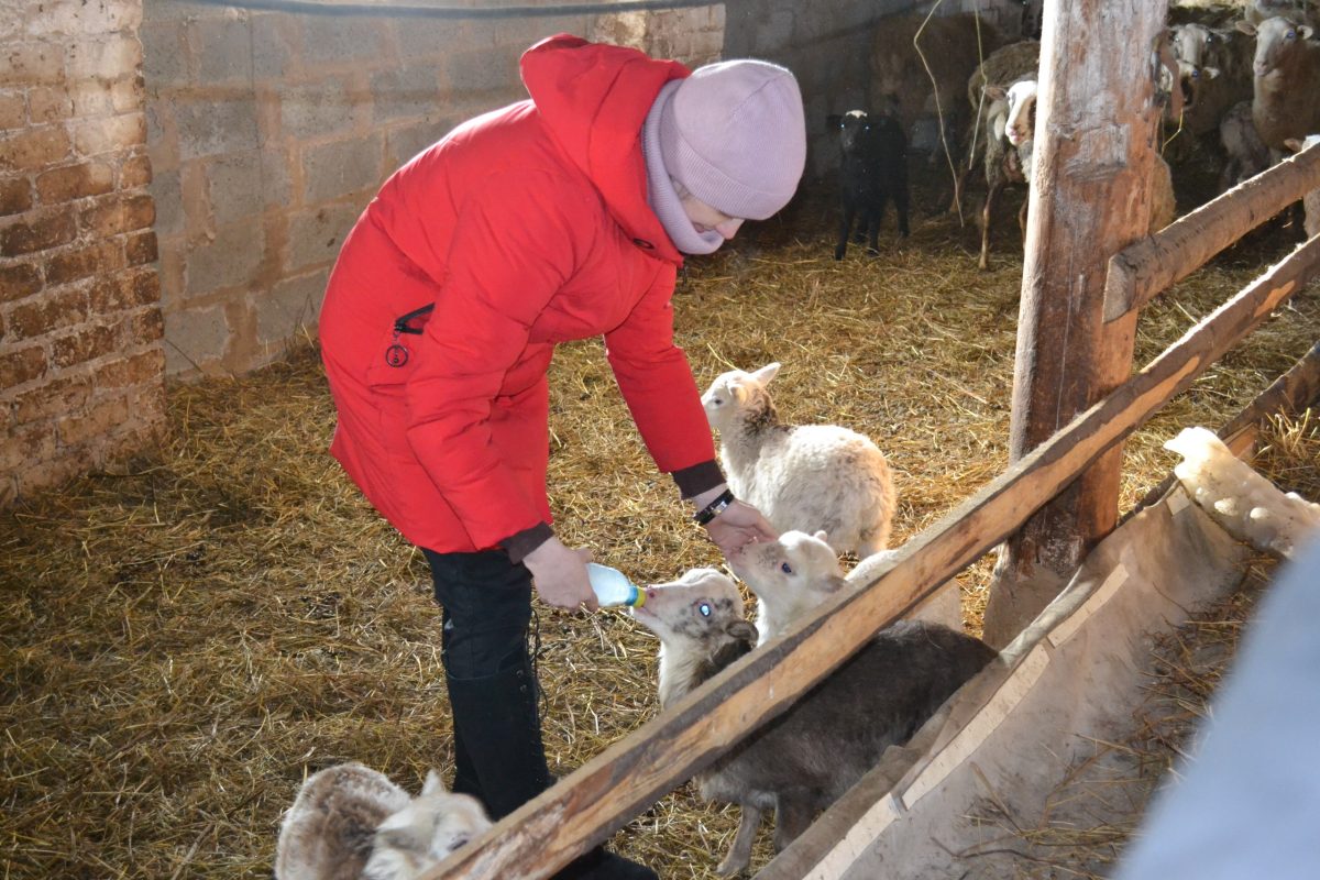 На поддержку фермеров и кооперативов в регионе направят 365 млн рублей