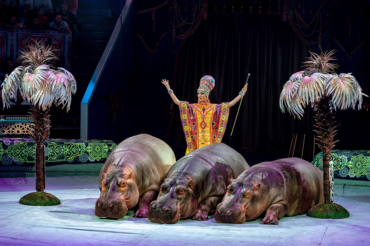 из архива шоу продюсерского центра Гии Эрадзе «Песчаная сказка»