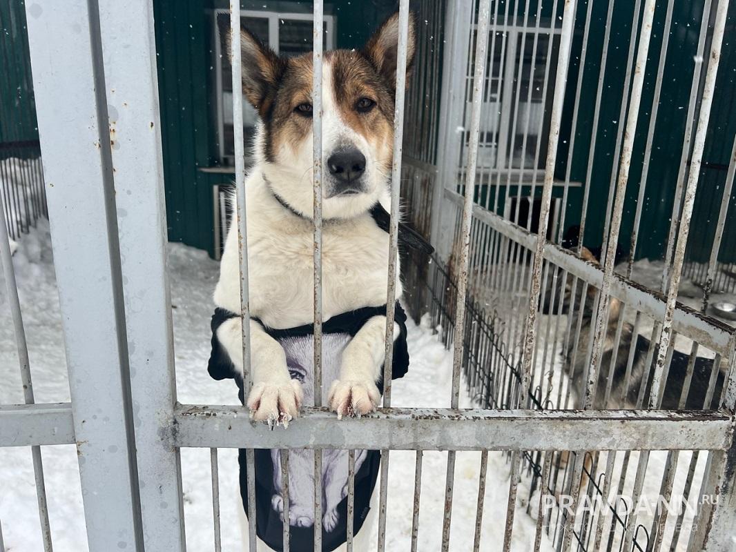 Алина Малинина