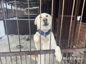 Алина Малинина