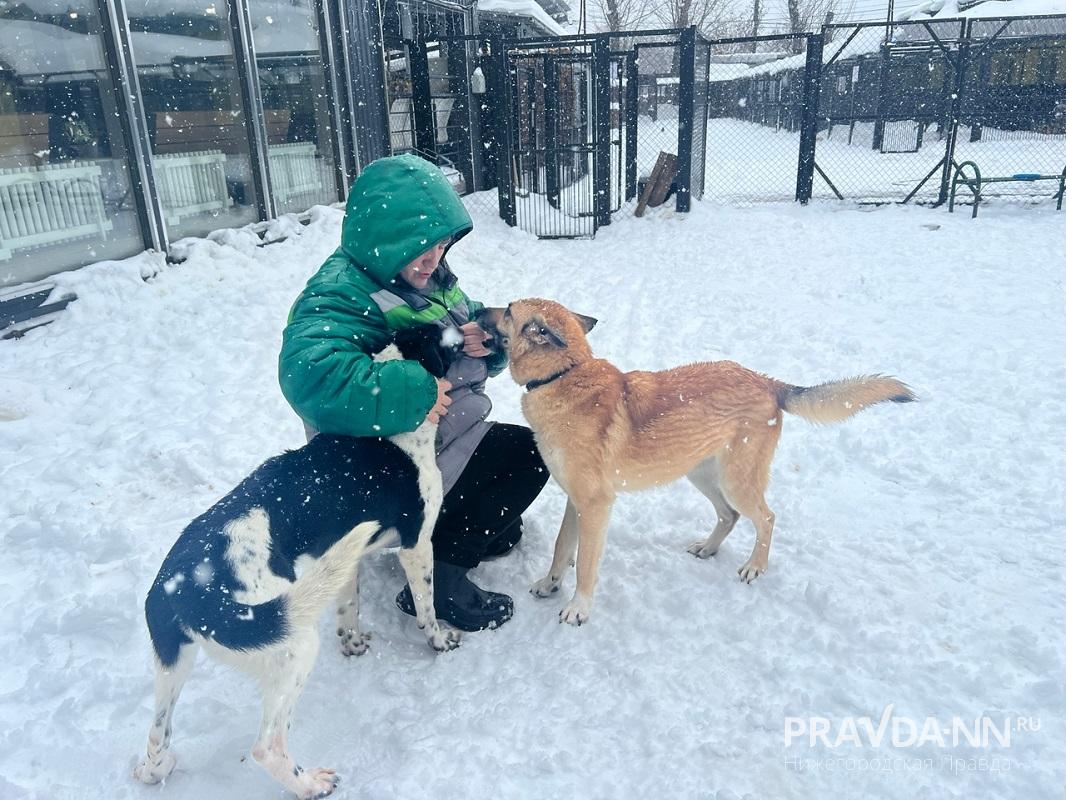 Алина Малинина