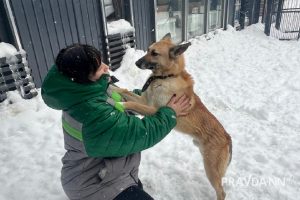 Дай лапу, друг! Один день из жизни волонтера приюта для животных