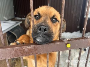 Алина Малинина