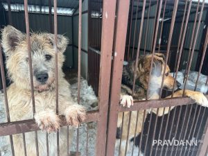 Алина Малинина