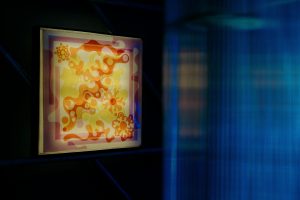 предоставлено организаторами