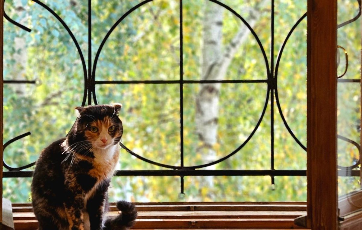 Фото: vk.com/club222784774