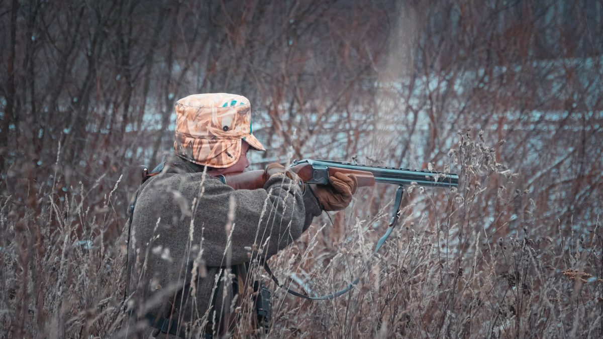 В Нижегородской области в 2025 году добыли 60 волков и 215&nbsp;лисиц
