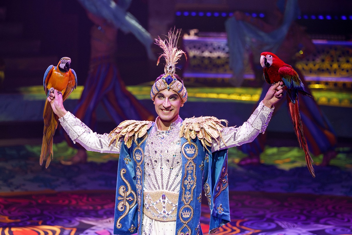 из архива шоу продюсерского центра Гии Эрадзе «Песчаная сказка»