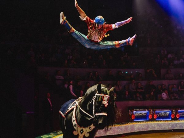 Акробат, пострадавший во время трюка в Нижегородском цирке, идет на поправку