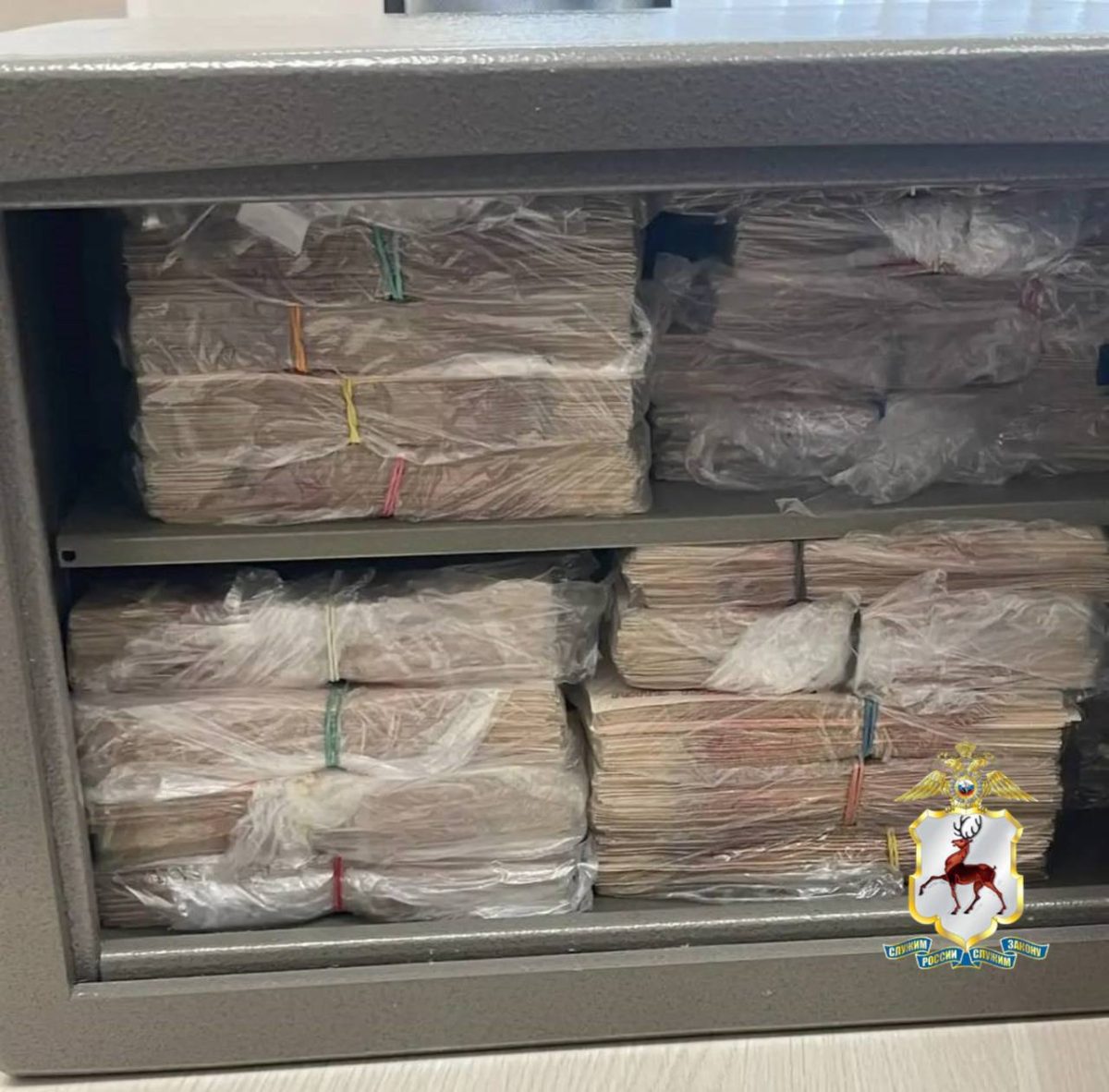 Около 50 млн рублей изъяли из сейфа в коттедже и.о. главврача больницы №33