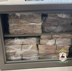 Около 50 млн рублей изъяли из сейфа в коттедже и.о. главврача больницы №33