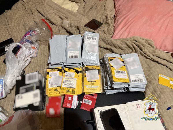 Жителя Арзамаса задержали за организацию мошеннической схемы с сим-боксами