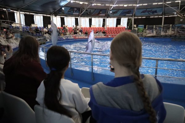 Воспитанники реабилитационного центра посетили дельфинарий