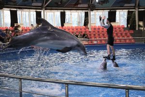 Пресс-служба РИК НРО «Единая Россия»