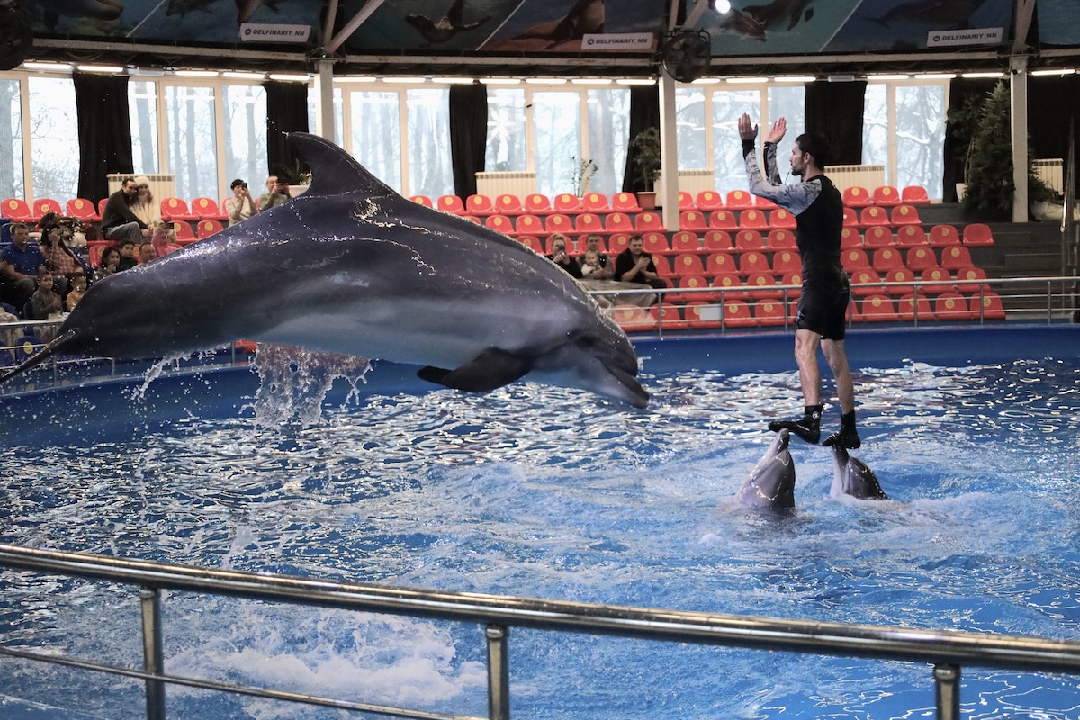 Пресс-служба РИК НРО «Единая Россия»