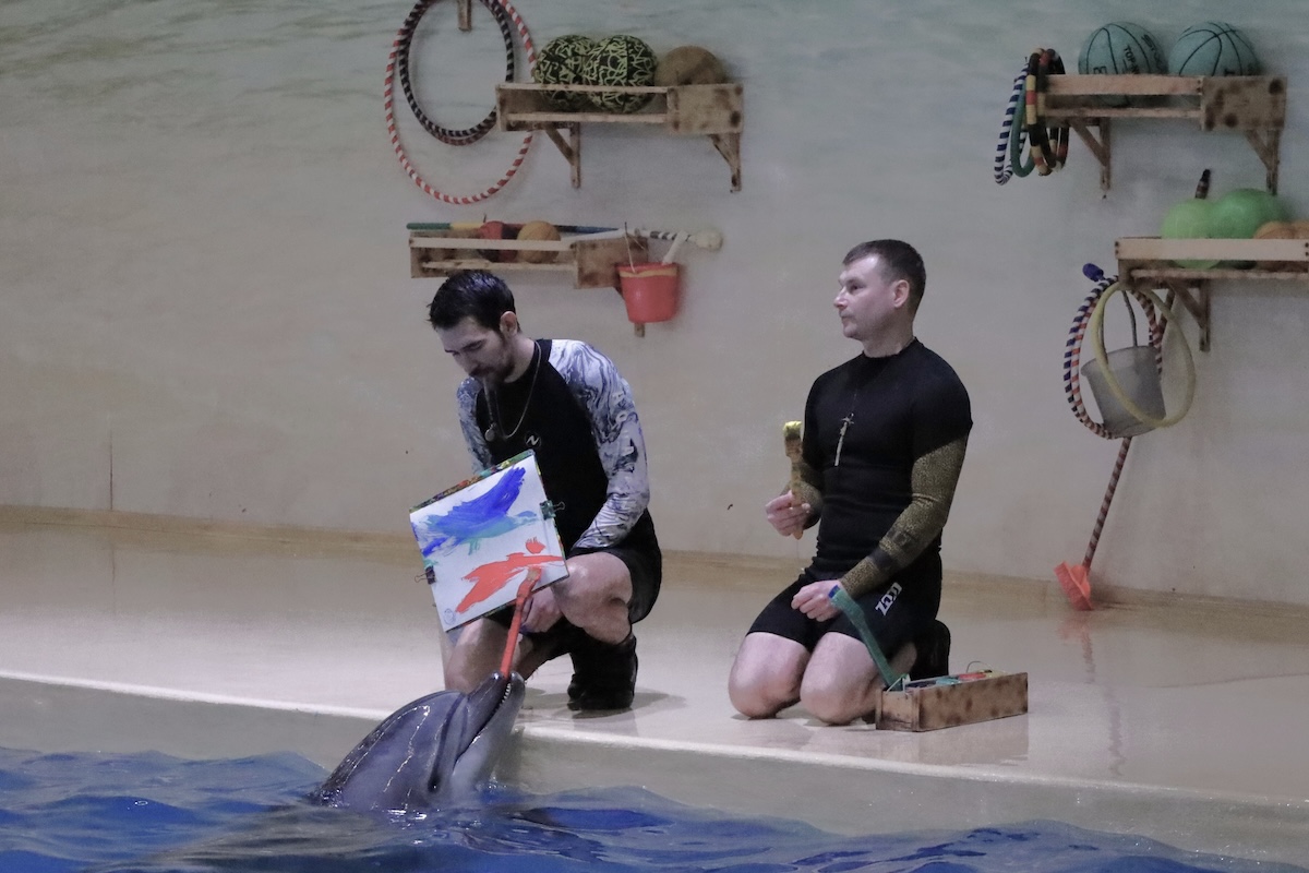 Пресс-служба РИК НРО «Единая Россия»