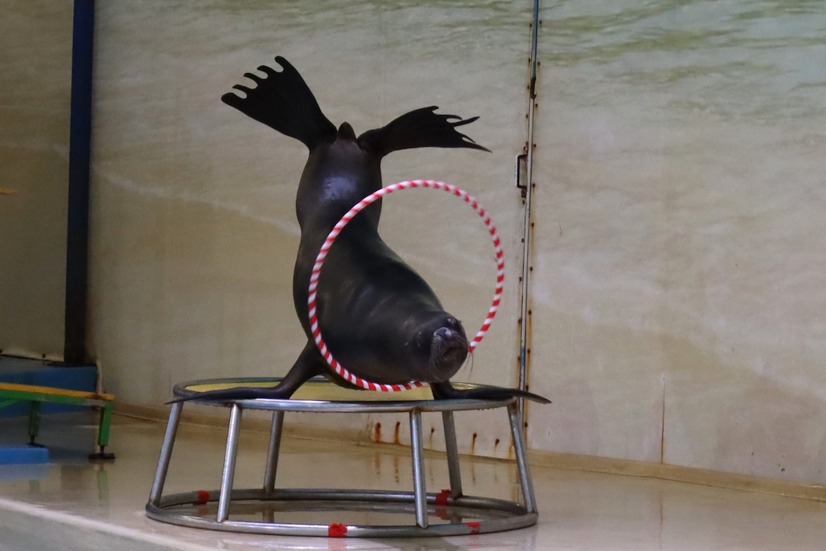 Пресс-служба РИК НРО «Единая Россия»