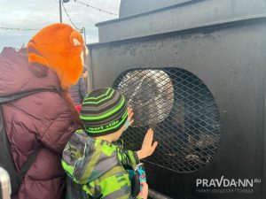 Алина Малинина