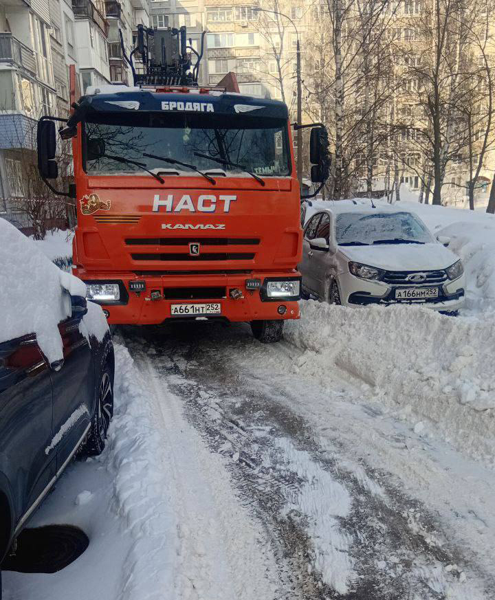 Фото: «Нижэкология-НН»