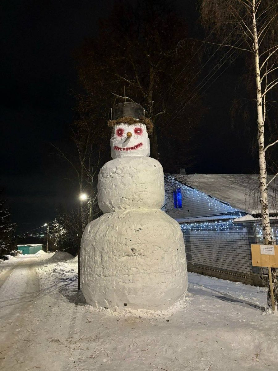 Фото: t.me/nizhniytop