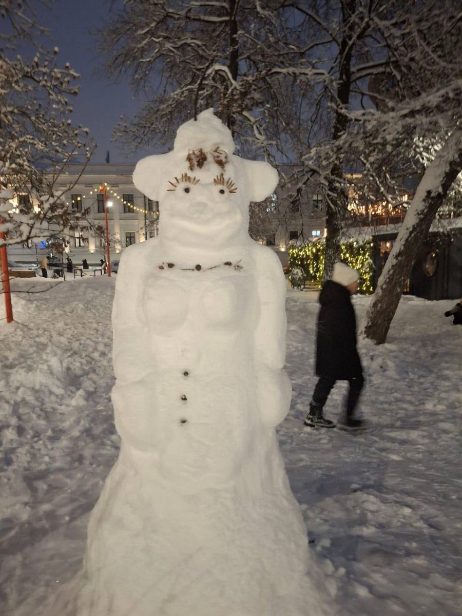 Фото: t.me/nizhniytop