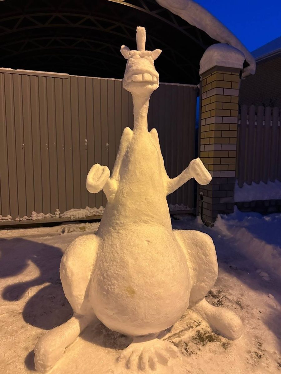 Фото: t.me/nizhny01