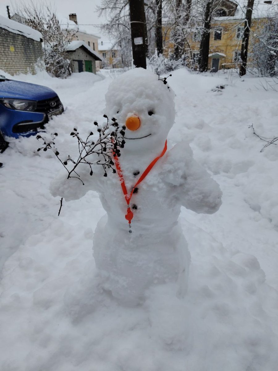 Фото: t.me/tvoybor