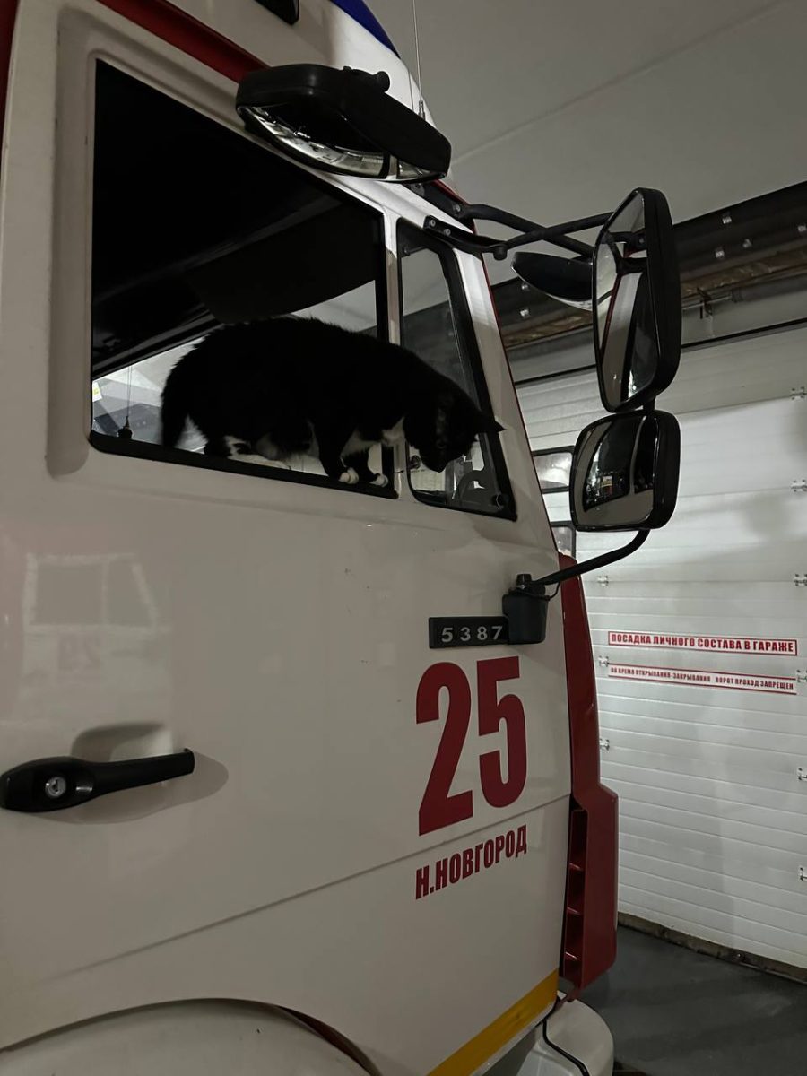 Михаил Пономарев