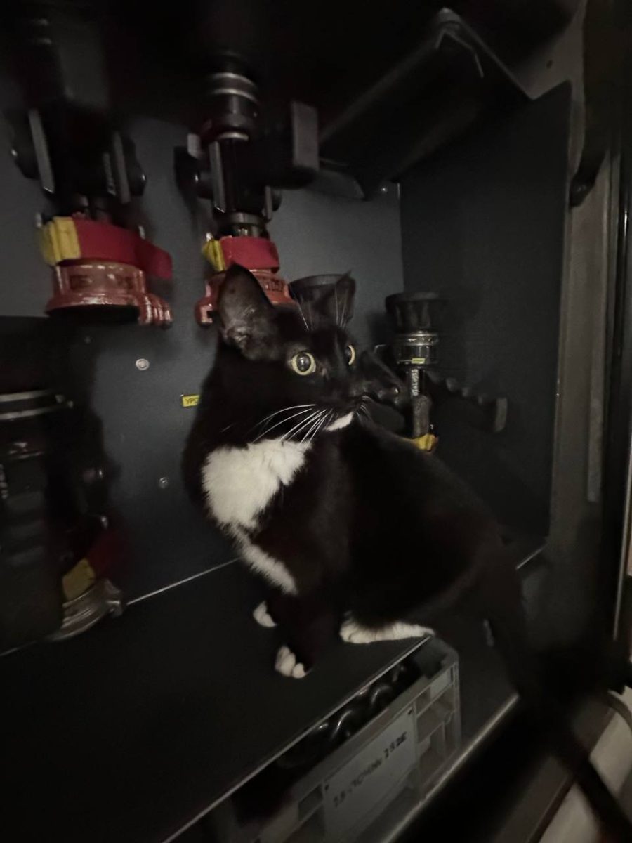 Михаил Пономарев