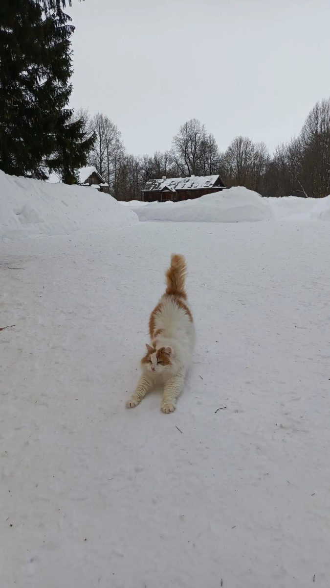 Музей-заповедник А.С.Пушкина «Болдино»