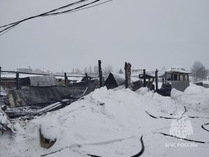 Коровы погибли на пожаре в Нижегородской области