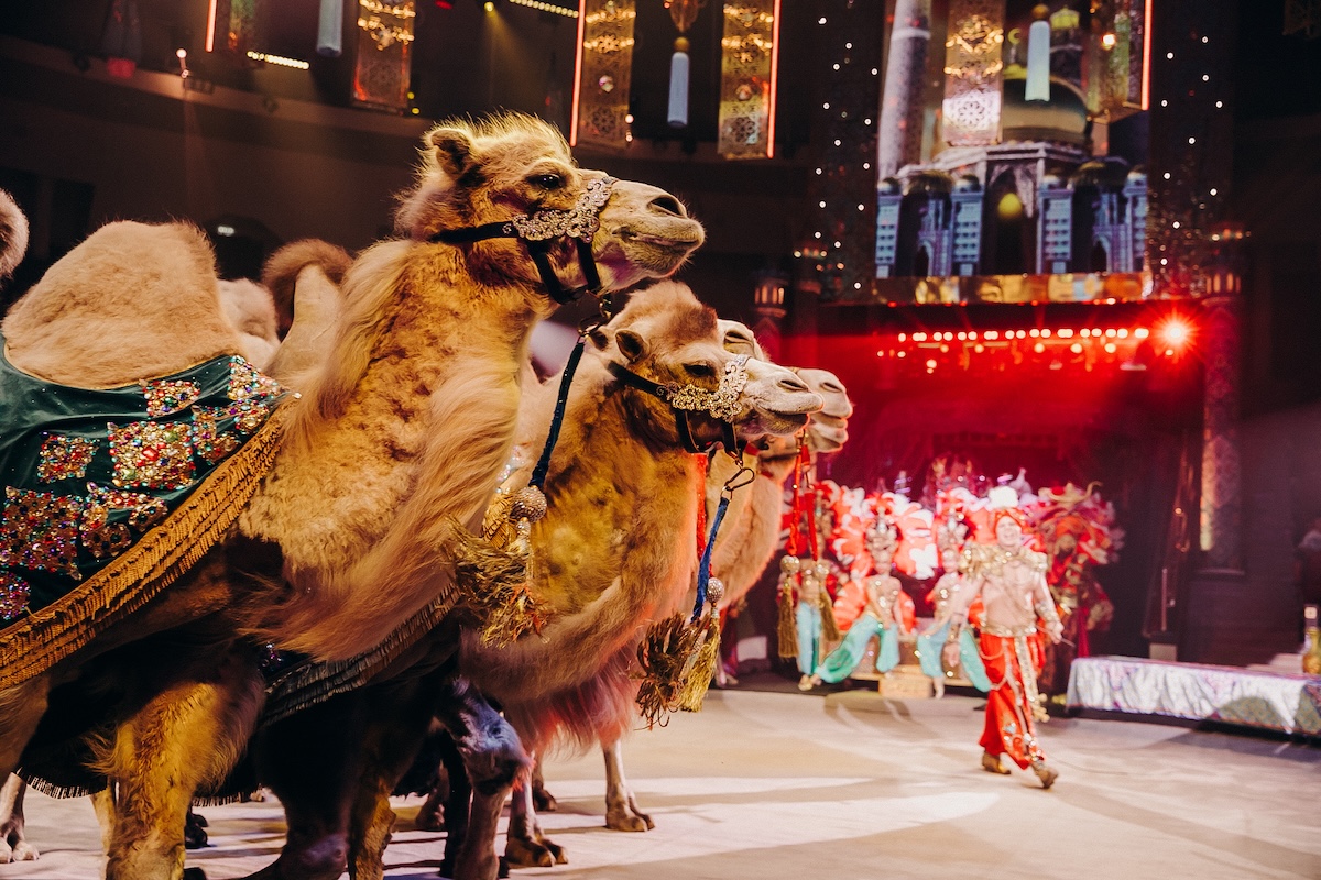 Из архива шоу продюсерского центра Гии Эрадзе «Песчаная сказка»