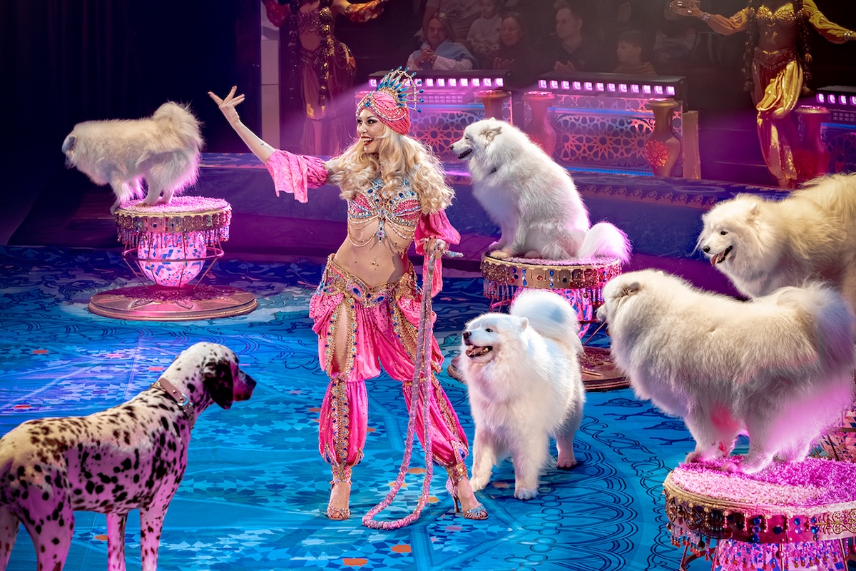 Из архива шоу продюсерского центра Гии Эрадзе «Песчаная сказка»