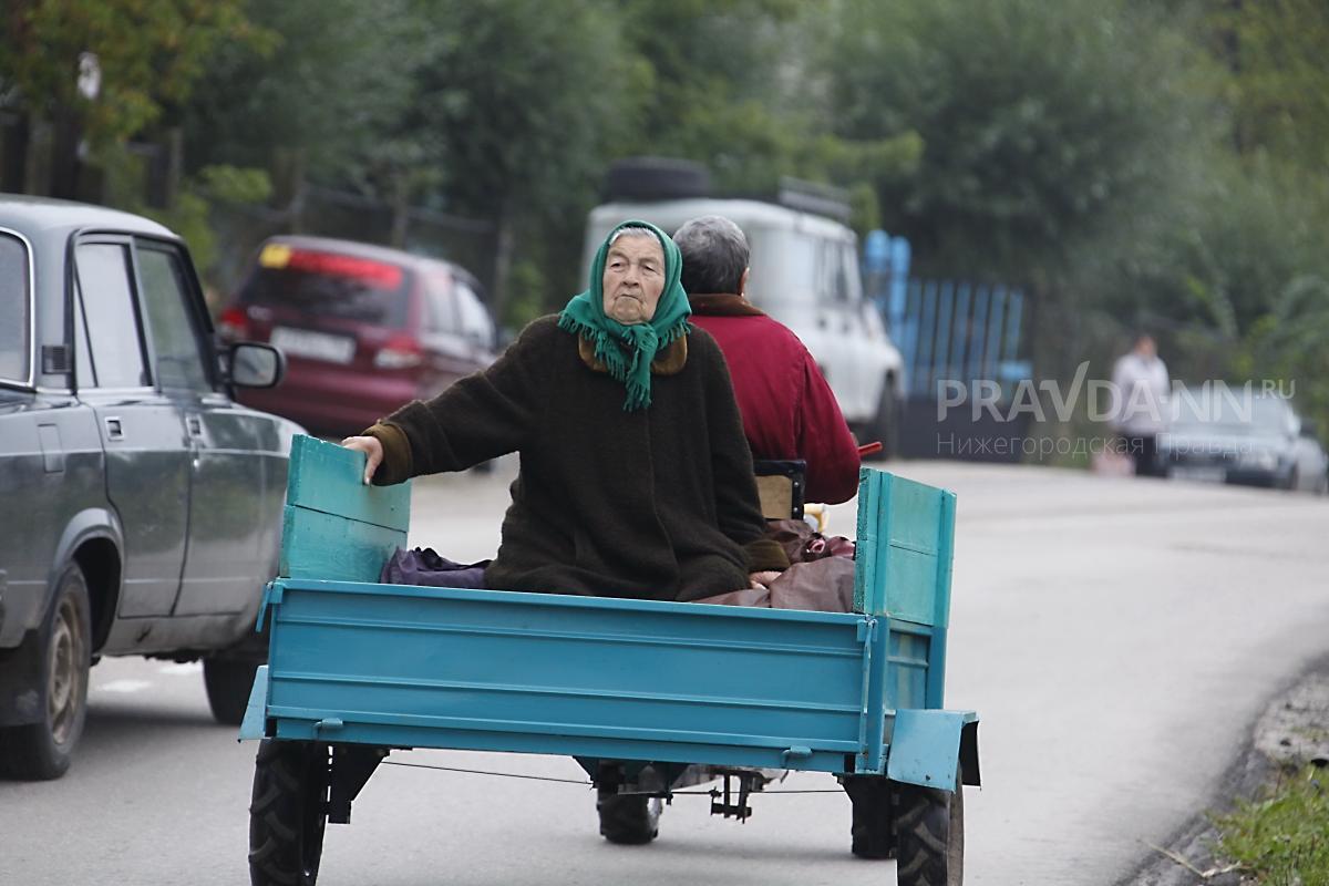 «Бабушкина схема» признана словосочетанием года