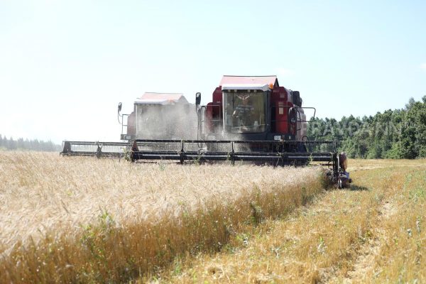 Посевные площади в Нижегородской области превысят 1 млн га в 2026&nbsp;году