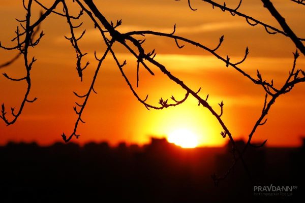 Сильные вспышки на Солнце ожидаются 19 и 20 февраля