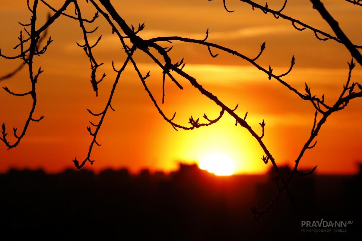 Сильные вспышки на Солнце ожидаются 19 и 20 февраля