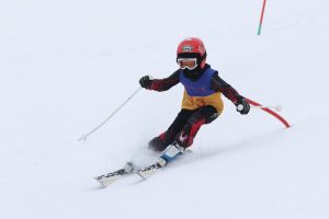 Первенство области по горнолыжному спорту в слаломе