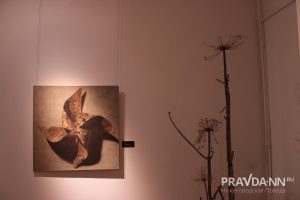 Кира Папилова