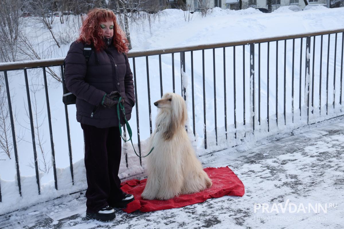 Александр Воложанин