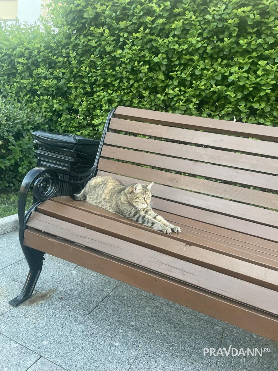 Анастасия Красушкина