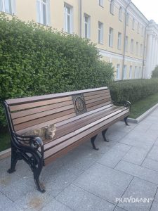 Анастасия Красушкина