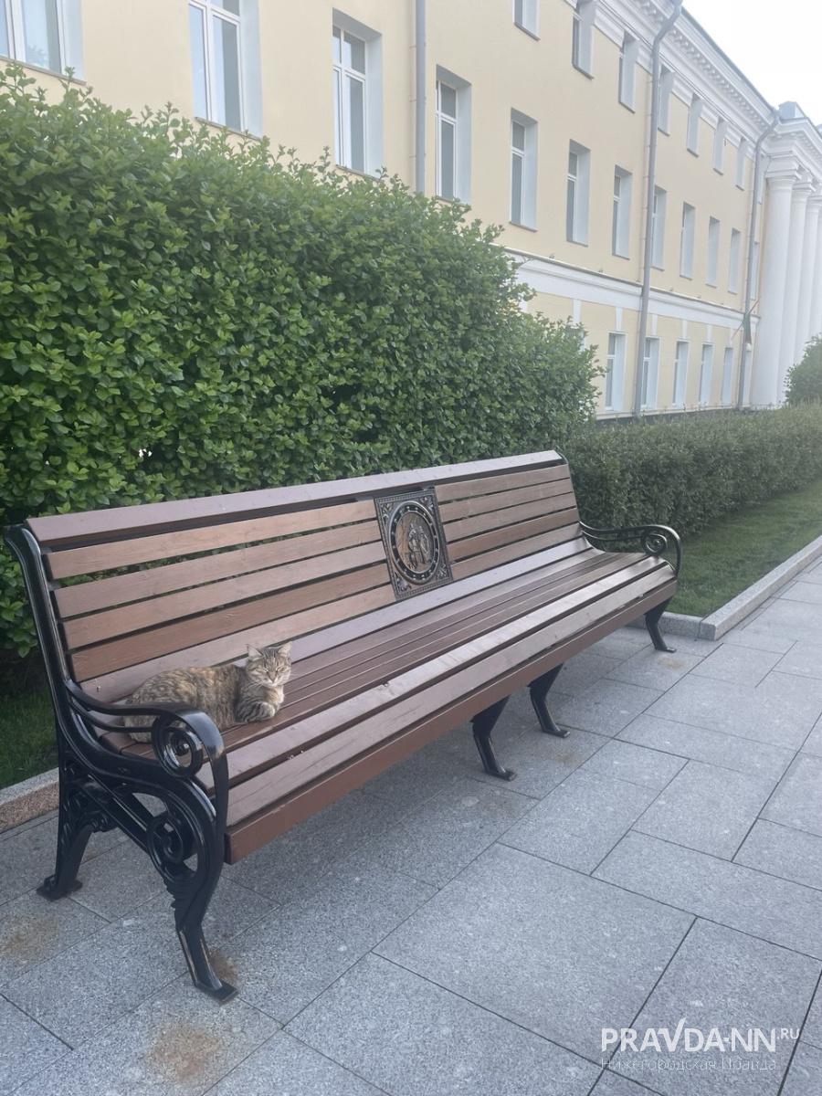 Анастасия Красушкина