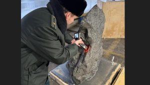 Контрабанду обломка метеорита весом 2,5 тонны пресекли петербургские таможенники