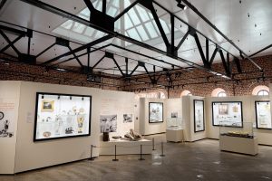 В Дмитриевской башне Нижегородского кремля открылась выставка «Музей 130. Сохраняем историю с 1896&nbsp;года»