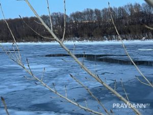 Алина Малинина