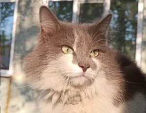 ГУ МЧС России по Нижегородской области