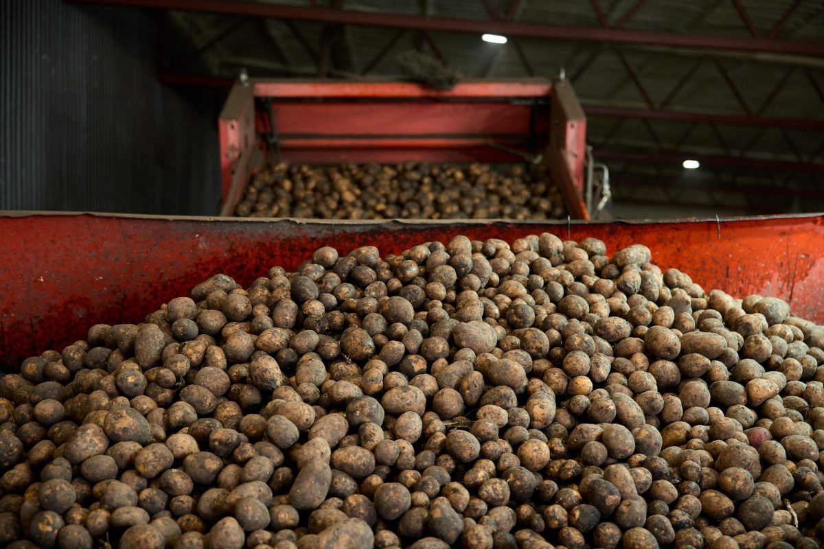 Нижегородские фермеры смогут поставлять в сети через агроагрегаторы