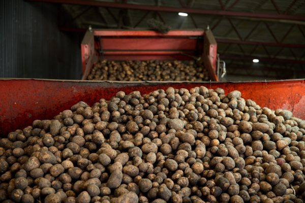 Нижегородские фермеры смогут поставлять в сети через агроагрегаторы